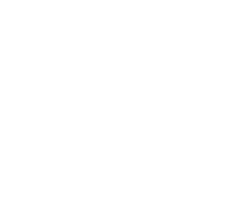 blitznet-small-white.png